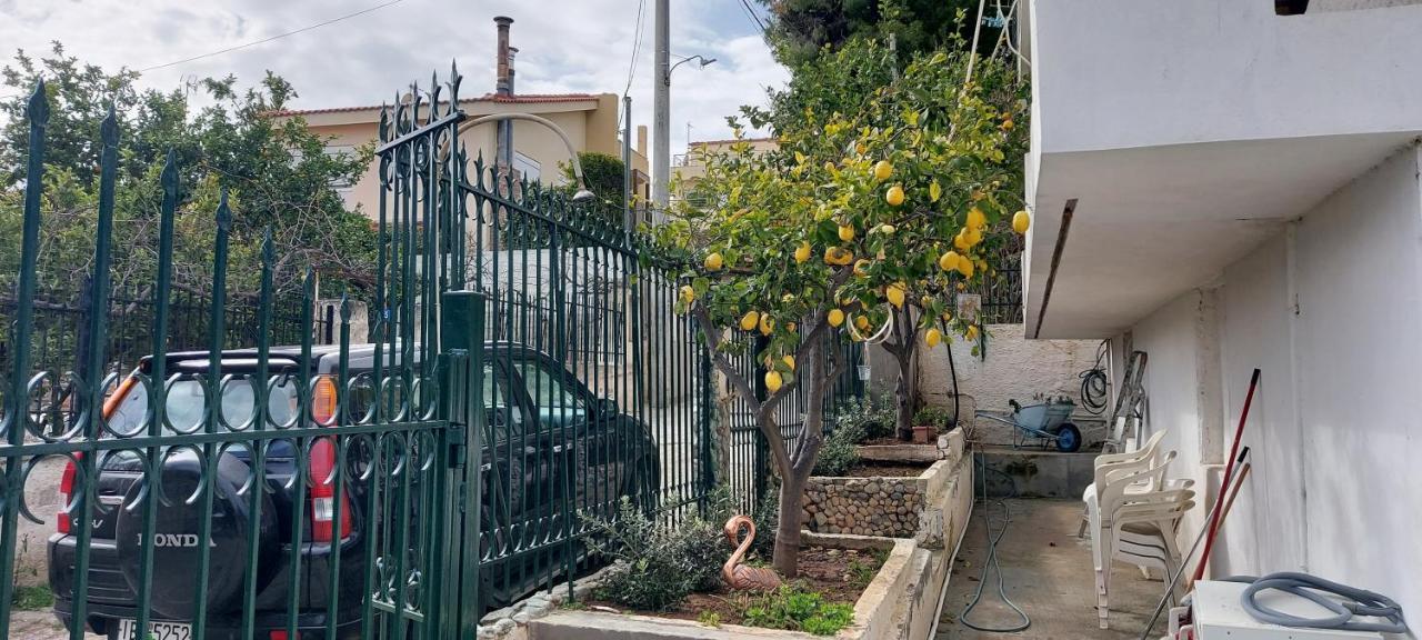 阿特米达Elena'S Family House公寓 外观 照片
